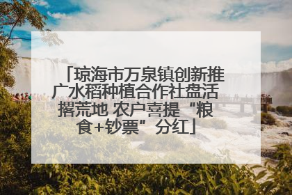 琼海市万泉镇创新推广水稻种植合作社盘活撂荒地 农户喜提“粮食+钞票”分红
