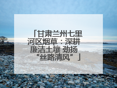 甘肃兰州七里河区烟草：深耕廉洁土壤 劲扬“丝路清风”