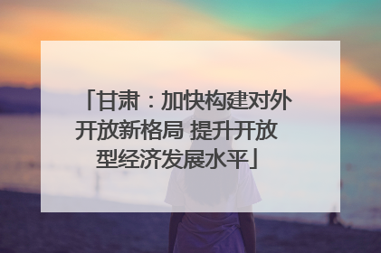 甘肃：加快构建对外开放新格局 提升开放型经济发展水平