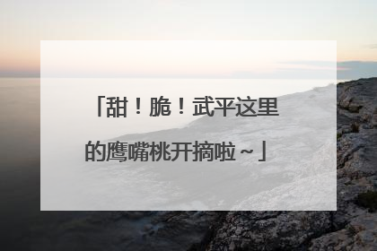 甜！脆！武平这里的鹰嘴桃开摘啦～
