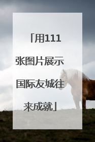 用111张图片展示国际友城往来成就
