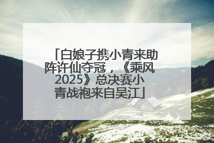 白娘子携小青来助阵许仙夺冠，《乘风2025》总决赛小青战袍来自吴江