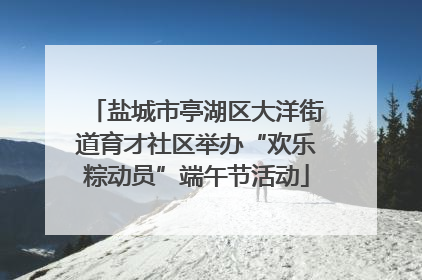 盐城市亭湖区大洋街道育才社区举办“欢乐粽动员”端午节活动