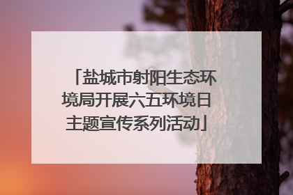 盐城市射阳生态环境局开展六五环境日主题宣传系列活动