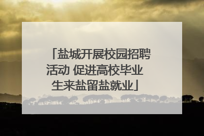 盐城开展校园招聘活动 促进高校毕业生来盐留盐就业
