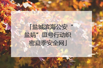 盐城滨海公安“盐靖”Ⅲ号行动织密夏季安全网