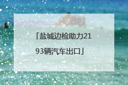 盐城边检助力2193辆汽车出口