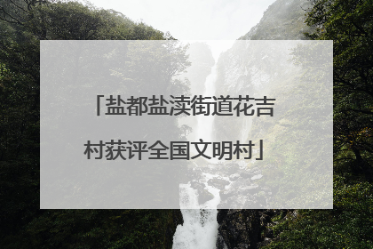 盐都盐渎街道花吉村获评全国文明村