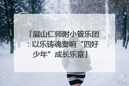 眉山仁师附小管乐团：以乐铸魂奏响“四好少年”成长乐章