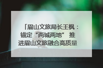 眉山文旅局长王枫：锚定“两城两地” 推进眉山文旅融合高质量发展｜文旅局长说
