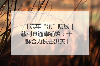 筑牢“汛”防线｜慈利县通津铺镇：干群合力抗击洪灾