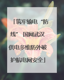 筑牢输电“防线” 国网武汉供电多维防外破护航电网安全