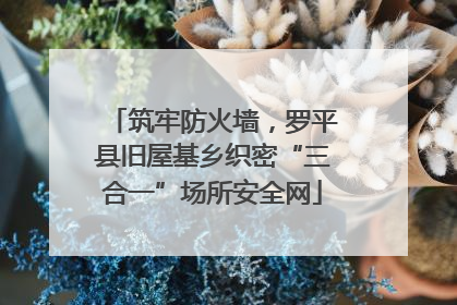 筑牢防火墙，罗平县旧屋基乡织密“三合一”场所安全网