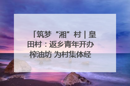 筑梦“湘”村｜皇田村：返乡青年开办榨油坊 为村集体经济“加油”