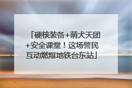 硬核装备+萌犬天团+安全课堂！这场警民互动燃爆地铁台东站