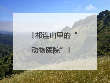 祁连山里的“动物医院”