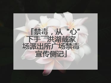 禁毒，从“心”下手――洪湖戴家场派出所广场禁毒宣传侧记