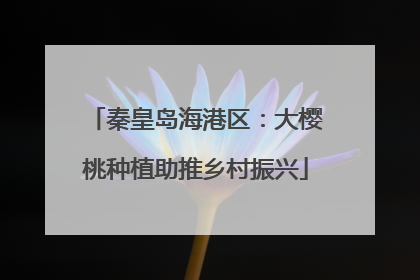 秦皇岛海港区：大樱桃种植助推乡村振兴