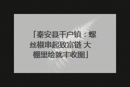 秦安县千户镇：螺丝椒串起致富链 大棚里绘就丰收图
