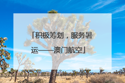 积极筹划，服务暑运——澳门航空