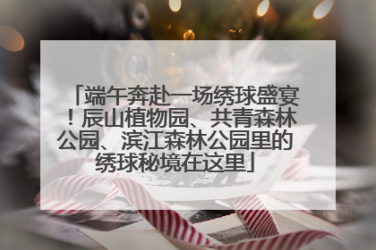 端午奔赴一场绣球盛宴！辰山植物园、共青森林公园、滨江森林公园里的绣球秘境在这里
