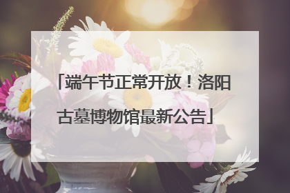 端午节正常开放！洛阳古墓博物馆最新公告