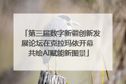 第三届数字新疆创新发展论坛在克拉玛依开幕 共绘AI赋能新图景