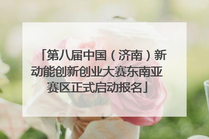 第八届中国（济南）新动能创新创业大赛东南亚赛区正式启动报名
