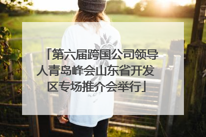 第六届跨国公司领导人青岛峰会山东省开发区专场推介会举行