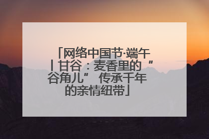 网络中国节·端午丨甘谷：麦香里的“谷角儿” 传承千年的亲情纽带