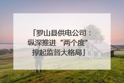 罗山县供电公司：纵深推进“两个度” 撑起监督大格局