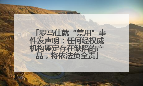 罗马仕就“禁用”事件发声明：任何经权威机构鉴定存在缺陷的产品，将依法负全责