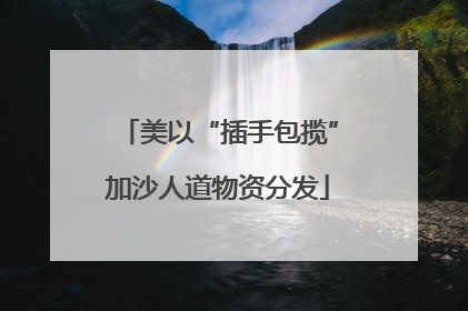 美以“插手包揽”加沙人道物资分发