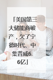 美国第三大储能商破产，欠了宁德时代、中集普威6.6亿