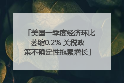 美国一季度经济环比萎缩0.2% 关税政策不确定性拖累增长