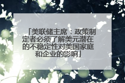 美联储主席：政策制定者必须了解美元潜在的不稳定性对美国家庭和企业的影响