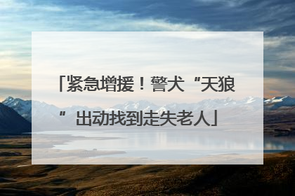 紧急增援！警犬“天狼”出动找到走失老人
