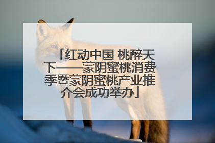 红动中国 桃醉天下——蒙阴蜜桃消费季暨蒙阴蜜桃产业推介会成功举办