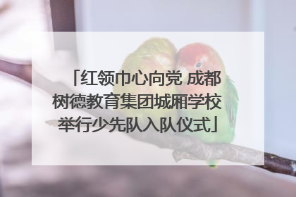 红领巾心向党 成都树德教育集团城厢学校举行少先队入队仪式