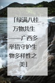 绿满八桂 万物共生——广西多举措守护生物多样性之美