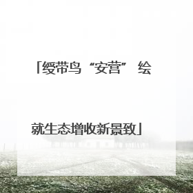 绶带鸟“安营” 绘就生态增收新景致