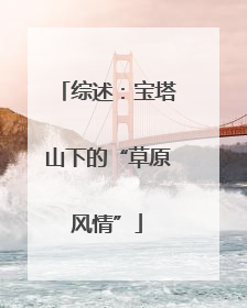 综述：宝塔山下的“草原风情”