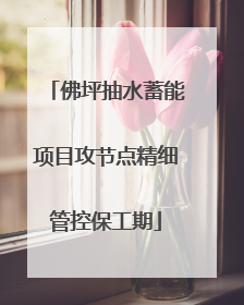 佛坪抽水蓄能项目攻节点精细管控保工期