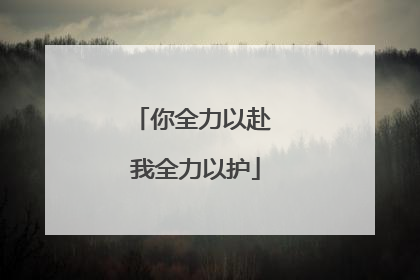 你全力以赴 我全力以护