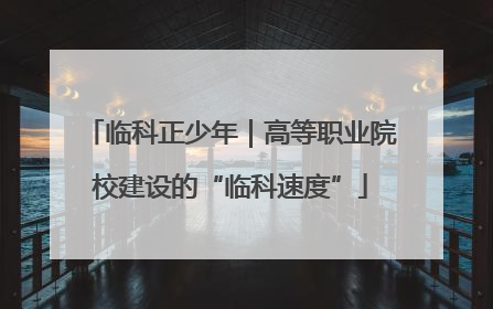 临科正少年｜高等职业院校建设的“临科速度”