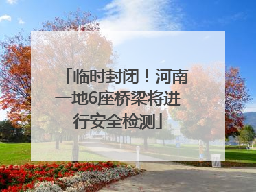 临时封闭！河南一地6座桥梁将进行安全检测