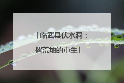 临武县伏水洞：撂荒地的重生