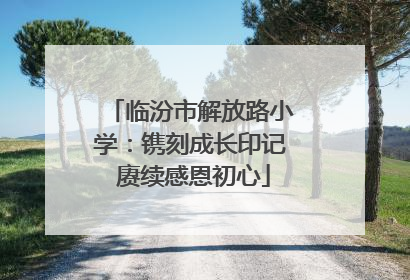 临汾市解放路小学：镌刻成长印记 赓续感恩初心