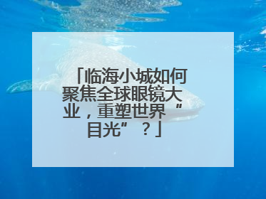 临海小城如何聚焦全球眼镜大业，重塑世界“目光”？