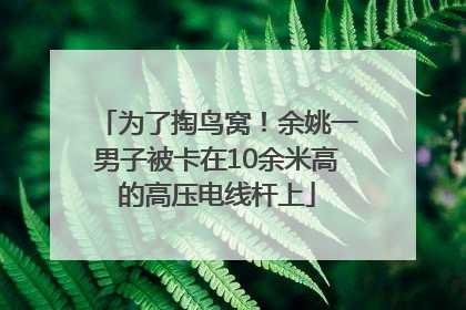 为了掏鸟窝！余姚一男子被卡在10余米高的高压电线杆上